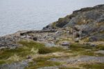 hkb_7-971_billefjord_2019_037