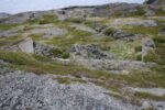 hkb_7-971_billefjord_2019_039