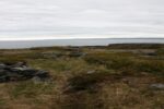 hkb_7-971_billefjord_2019_041