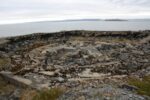 hkb_7-971_billefjord_2019_050