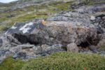 hkb_7-971_billefjord_2019_065