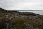 hkb_7-971_billefjord_2019_066