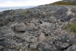 hkb_7-971_billefjord_2019_072