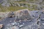 hkb_7-971_billefjord_2019_081