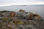 hkb_7-971_billefjord_2019_083