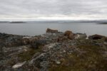hkb_7-971_billefjord_2019_085
