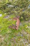 hkb_7-971_billefjord_2019_101