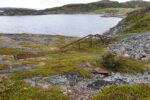 hkb_7-971_billefjord_2019_102