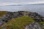 hkb_7-971_billefjord_2019_103
