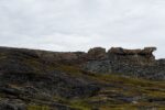 hkb_7-971_billefjord_2019_105