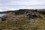 hkb_7-971_billefjord_2019_108