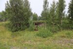 hkb_7-972_lattervik_2023_004
