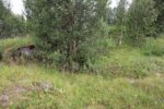 hkb_7-972_lattervik_2023_009