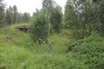 hkb_7-972_lattervik_2023_011