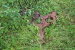 hkb_7-972_lattervik_2023_014