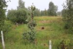 hkb_7-972_lattervik_2023_020