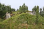 hkb_7-972_lattervik_2023_026