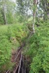 hkb_7-972_lattervik_2023_048