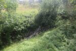 hkb_7-972_lattervik_2023_070