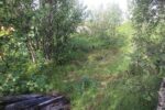 hkb_7-972_lattervik_2023_072