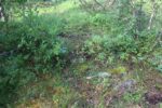 hkb_7-972_lattervik_2023_073