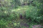 hkb_7-972_lattervik_2023_075