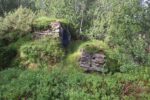 hkb_7-972_lattervik_2023_077