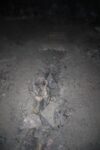 hkb_7-974_stoett_2025_135
