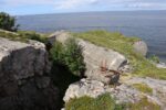 hkb_7-975_utvorden-nord_2023_018