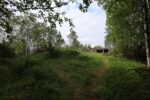 hkb_7-977_flokenes_2023_004