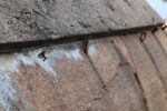 hkb_7-980_kjoekoen_2023_056