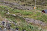 hkb_8-971_nordmannset_2023_001