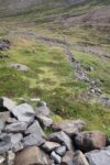 hkb_8-971_nordmannset_2023_003