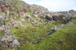hkb_8-971_nordmannset_2023_004