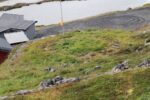 hkb_8-971_nordmannset_2023_005