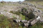 hkb_8-971_nordmannset_2023_016