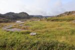 hkb_8-971_nordmannset_2023_022