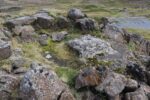 hkb_8-971_nordmannset_2023_045