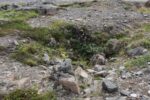 hkb_8-971_nordmannset_2023_065