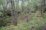 hkb_8-974_soerfold_2025_115
