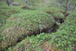 hkb_9-972_vandsund_2025_002