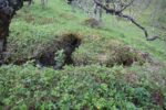 hkb_9-972_vandsund_2025_004