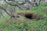 hkb_9-972_vandsund_2025_005