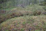 hkb_9-972_vandsund_2025_014