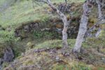 hkb_9-972_vandsund_2025_024