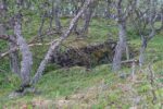 hkb_9-972_vandsund_2025_027