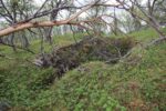 hkb_9-972_vandsund_2025_030