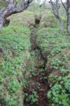 hkb_9-972_vandsund_2025_035