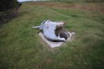 hkb_kokkenes_festung_vadsoe_2023_047