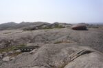 hkb_midbroed_2023_016